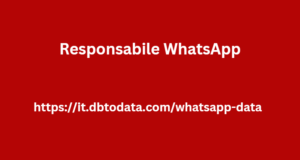 Responsabile WhatsApp