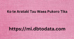 Ko te Arataki Tau Waea Pukoro Tika